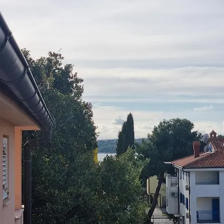 Anita